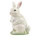 Certified International Easter Morning 3-D Bunny Cookie Jar, 64 oz. - 64 oz.