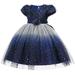Rbaofujie Girls Dress Toddler Net Yarn Embroidery Bowknot Birthday Party Gown Kids Cute Dresses Blue