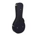 Crossrock Deluxe Wooden Hardshell Case for A-style Mandolin-Black(CRW600MABK)