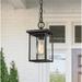 Matte Black Rustic Outdoor Hanging Lantern Mini Farmhouse 1-Light Square Outdoor Pendant Light with Seeded Glass Shade
