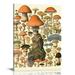 COMIO Vintage Mushroom Posters & Mushroom Wall Art - Adolphe Millot Poster & Mushroom Poster Vintage Mushroom Print | Botany Poster Cottagecore Poster Vintage Plant Poster
