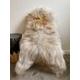 XL Large Luxurious Genuine Icelandic Sheepskin Rug Sheep Fur In Natural White/Ivory/Cream/Beige/Grey Colour