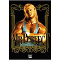 Affiche graphique WWE Mr Perfect - A3 non encadré