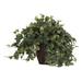 Silk Plant Nearly Natural Puff Ivy w/Decorative Vase Silk Plant