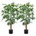 2Packs 4FT Artificial Ficus Trees with Realistic Leaves and Natural Trunk, Faux Ficus Tree with Sturdy Plastic Nursery Pot