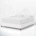 Birch Lane™ Alpine Tufted Upholstered Low Profile Standard Bed Metal in White/Black | Queen | Wayfair 7972F748032D4D1B8891416D983C6D42