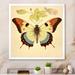 August Grove® Vintage Illustration Of Elegant Butterfly I Canvas, Cotton | 16 H x 16 W x 1 D in | Wayfair 613FE0D22C554E8991C765EB3A18D699