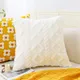 Juste de coussin en peluche blanche pour canapé taie d'oreiller décorative moderne pour la maison
