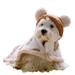Huanledash Pet Cape Cartoon Bear Pattern Keep Warmth Soft Texture Pet Dogs Cloak Outfit for Small Dogs