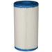 Antimicrobial Replacement Cartridge For Rainbow/Pentair Dynamic 35 Pool And Spa