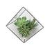 Pixies Gardens Artificial Plant : 7.5 Inch Green Succulents in Geo Terrarium 7.5 Inches