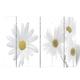 Folding Room Divider 217×170 cm Flower