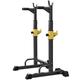 Dumbbell Rack Fitness Barbell Rack Multi-Function Dip Rack for Home Gym Training Work Out 250kg Max Load