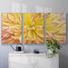 Latitude Run® Blooms III - Multi Piece Framed Canvas in Red/Yellow | 24 H x 48 W x 2 D in | Wayfair 652FDF5618E544798F8B5F9CD599C62D