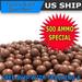 500 QTY - Biodegradable Slingshot Ammo 3/8 Inch Precision Hard Clay Balls