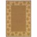 3 x 5 ft. Stain Resistant Indoor & Outdoor Area Rug - Tan