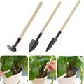 Stiwee 2024 Gardening Products Sale Season Garden Tool Set Planting Tool 3 Piece Horticultural Succulent Plant Planting Tool Set Horticultural Tool Set