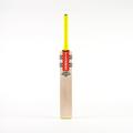 Gray Nicolls Tempesta 1.0 200 Junior Cricket Bat - New for 2024 (6)