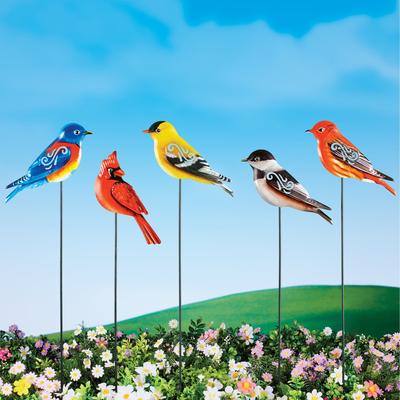 Colorful Birds Outdoor Garden Stakes - Set of 5 - NO SIZE