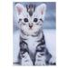 HEMOTON 1pc Adorable Cat Garden Flag Printed Garden Flag Summer Courtyard Hanging Flag Wall Hanging Decoration for Home (Grey)