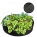 Big Green Growing Machine Raised Bed Garden Proprietary Fabric No Assembly Required Non-woven Black Round Beautiful Planting Bag