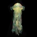 KIHOUT Clearance Jellyfish Lamp Material Pack New Year s Eve Gadgets Year s Eve Glow Gadgets Decorations Room Decoration Table Top Gadgets