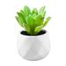 Huanledash Easy to Maintain Artificial Potted White Ceramic Potted Mini Modern Decoration Artificial Succulent Potted for Home