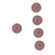 BESPORTBLE 5pcs Sports Kids Outdoor Toys Outdoor Flying Disc Beach Toys for Kids Flying Saucer Mandala Flower Wall Art Fun Fly Toys Mini Toys Kid Toys Aldult Accessories Child