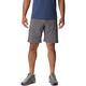 COLUMBIA Herren Shorts Silver Ridge™ Utility Short, Größe 32 in Grau