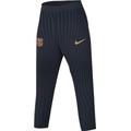 Nike Herren Hose FCB Mnk Dfadvstrkelt PNT Kpz, Obsidian/Club Gold/Club Gold, FJ5383-451, M