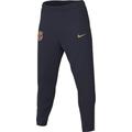 Nike Herren Hose FCB M Nk Df Strk Pant Kpz, Obsidian/Club Gold/Club Gold, FJ5401-451, S