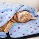 Coussin doux lavable pour animaux de compagnie couverture douce et souriante couverture épaissie