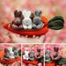 Hanety New Easter Decorations Easter Basket Stuffers Unzip the rabbit doll toyï¼š3 bunnies in carrot purse