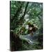 Global Gallery 20 x 30 in. Bromeliads Growing in Trees Along Stream in Bocaina National Park - Atlantic Forest - Brazil Art Print - Tui De Roy