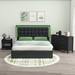 Winston Porter Ogie Bedroom Set Upholstered in Black | 45.5 H x 66.5 W x 82.7 D in | Wayfair D3AF85495C344343A4C8E3DC104CBCBC