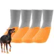 Chaussures de protection imperméables pour chien bottes coordonnantes pour l'extérieur