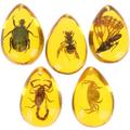 5 Pcs Locket Resin Crafts DIY Crafts Insect Specimen Amber DIY Resin Insects Amber