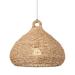 Troy Lighting Lechlan 1 - Light Pendant Metal in Black/Brown/White | 26.5 H x 32 W x 32 D in | Wayfair F1532-PBR