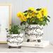 Union Rustic 2 Piece Set 6"H 6" Diameter/8"H 8" Diameter Abstract Footed Planters for Living Room, Bedroom, or Office in White/Brown | Wayfair