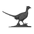 Whitehall Products Large Bell w/Pheasant in Black | Wayfair 04028