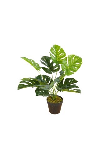 Lex Kunstpflanze Monstera Tischpflanze Zimmerpflanze 12 Blätter 45cm Image