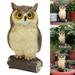 Weloille Fake Owl Bird Scarecrow Decoy Plastic Owl Bird Deterrents Outdoor Ornaments