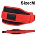 Weight Lifting Belt for Gym Fitness Training - Nylon Padded Double Belt with Lumbar Back Support for Bodybuilding Functional Training Powerlifting Deadlifts Workout & Squats GTICPHYJ