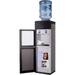 WSYW Top-Loading Water Dispenser for 5 Gallon Bottles Hot & Cold Water Cooler with Storage Cabinet & Glass Door Water Coolers Dispenser for Home Office School Gray