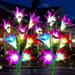 4 Pack Solar Flower Lights with 16 Bigger Lily Flowers Garden Lights Solar Powered 7-Color Changing Solar Garden Lights Outdoor Decorative for Patio Yard Pathway gticphyj