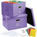 2 Pack File Box with 10 Hanging Filing Folders and 8 Plastic Slides File Organizer Storage with Lid Collapsible Linen Hanging Filing Box Office Portable Storage with Handle Purple