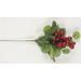 MDR Trading AI-FL7073-Q04 Mixed Green with Red Berries Pick Faux Plants & Trees - Set of 4