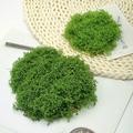 Green Moss for Crafts Artificial Moss Preserved Potted Plants for Wedding Decorative Moss for Table Centerpieces Easter Party Decor Faux Fresh Moss for Indoor Planters DIY Project