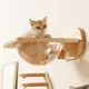 Lit capsule mural en bois pour chat étagère flottante d'escalade maison de chaton transparente