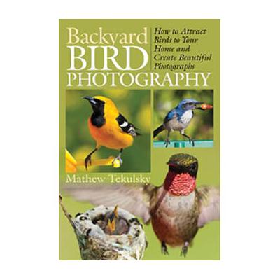 Allworth Backyard Bird Photography by Mathew Tekulsky (Paperback) 9781628737400